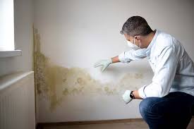 Best Comprehensive Air Testing for Mold Contaminants  in Church Hill, MD